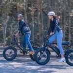 Trotinettes électrique